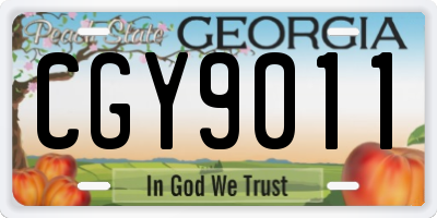 GA license plate CGY9011