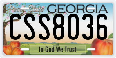 GA license plate CSS8036