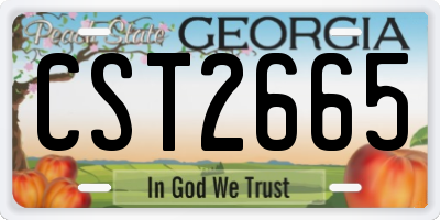 GA license plate CST2665