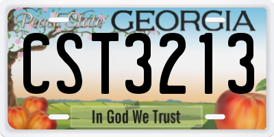 GA license plate CST3213
