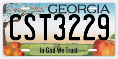 GA license plate CST3229