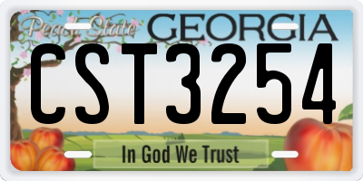 GA license plate CST3254