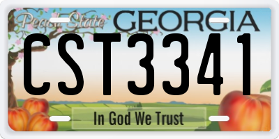 GA license plate CST3341