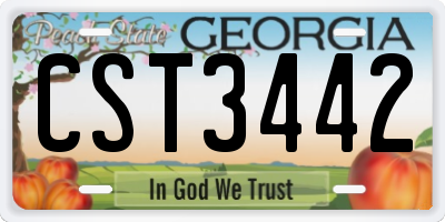 GA license plate CST3442
