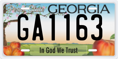 GA license plate GA1163