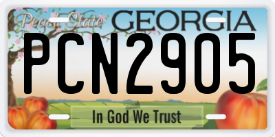GA license plate PCN2905