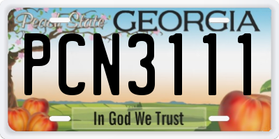 GA license plate PCN3111