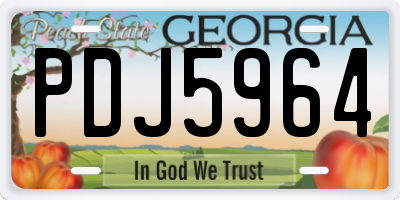 GA license plate PDJ5964