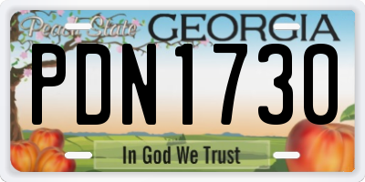 GA license plate PDN1730