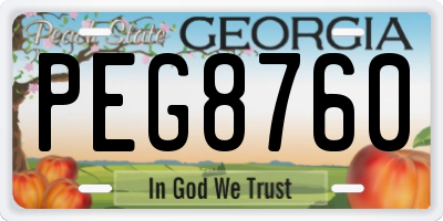 GA license plate PEG8760