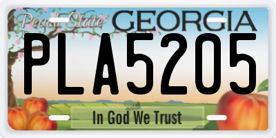 GA license plate PLA5205