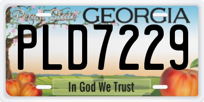 GA license plate PLD7229