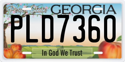 GA license plate PLD7360