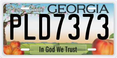 GA license plate PLD7373