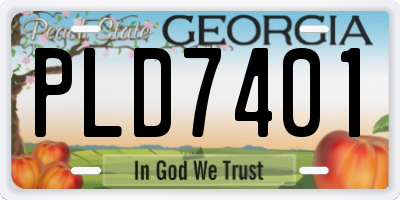 GA license plate PLD7401