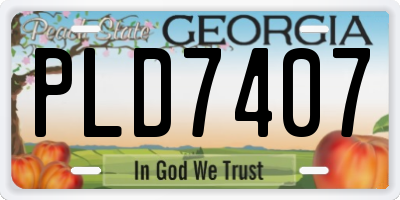 GA license plate PLD7407