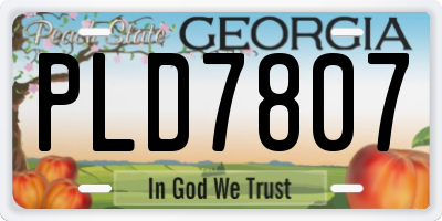 GA license plate PLD7807
