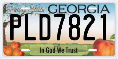 GA license plate PLD7821