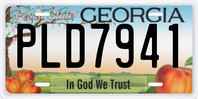 GA license plate PLD7941