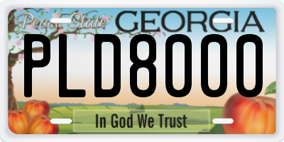 GA license plate PLD8000
