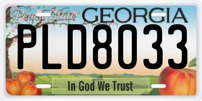 GA license plate PLD8033