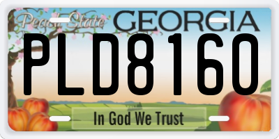 GA license plate PLD8160