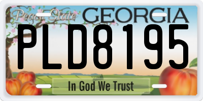 GA license plate PLD8195
