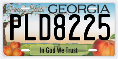 GA license plate PLD8225
