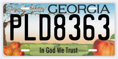 GA license plate PLD8363