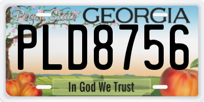 GA license plate PLD8756