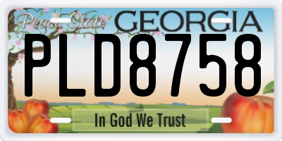 GA license plate PLD8758