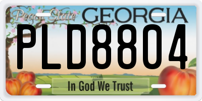GA license plate PLD8804