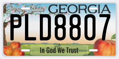 GA license plate PLD8807
