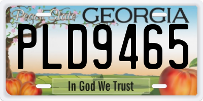 GA license plate PLD9465