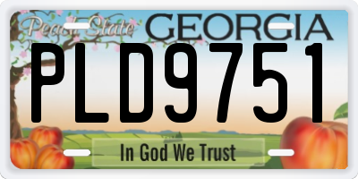 GA license plate PLD9751