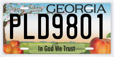 GA license plate PLD9801
