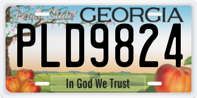 GA license plate PLD9824