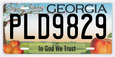 GA license plate PLD9829