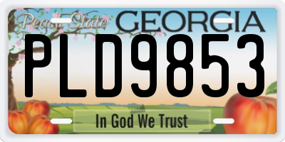 GA license plate PLD9853