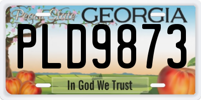 GA license plate PLD9873