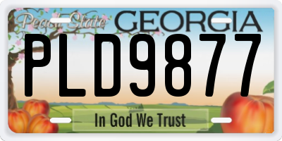 GA license plate PLD9877
