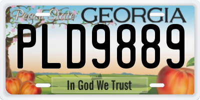 GA license plate PLD9889