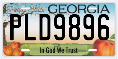 GA license plate PLD9896