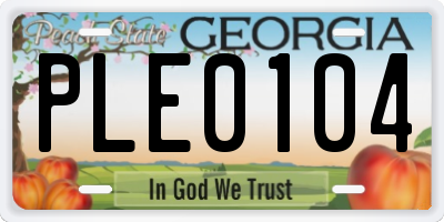 GA license plate PLE0104