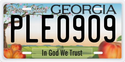 GA license plate PLE0909