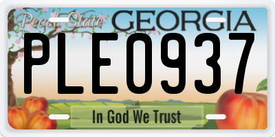 GA license plate PLE0937