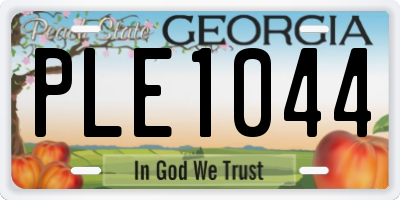 GA license plate PLE1044