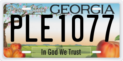GA license plate PLE1077