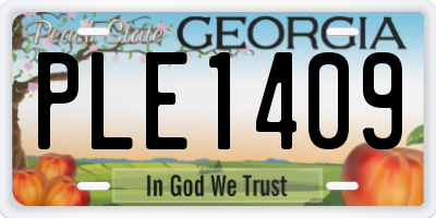 GA license plate PLE1409