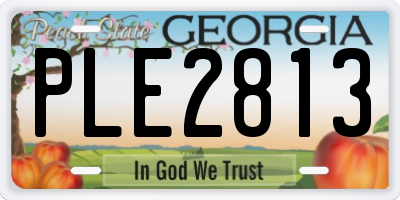 GA license plate PLE2813